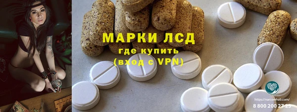 ГАЛЛЮЦИНОГЕННЫЕ ГРИБЫ Аркадак