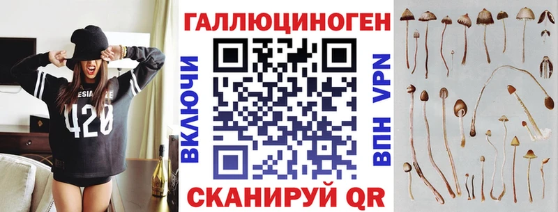 Галлюциногенные грибы Psilocybe  Зеленокумск 